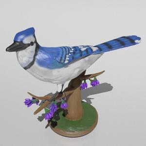 Blue Jay