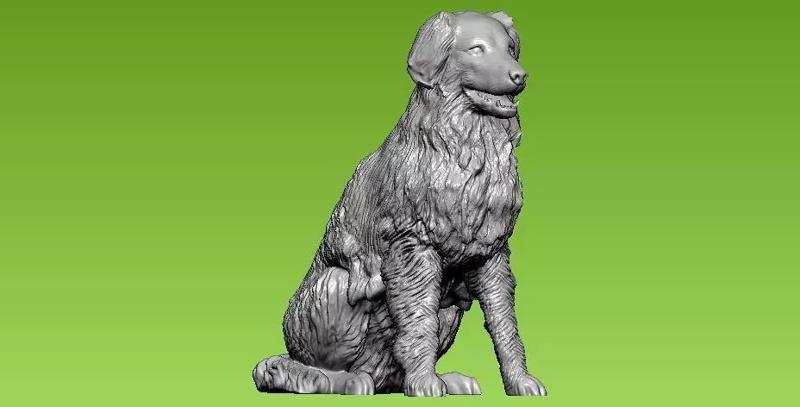 Dog collie - 3D print - statue