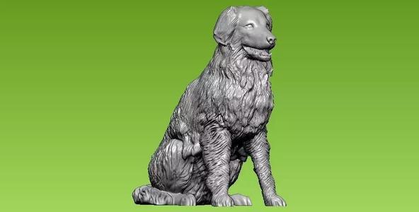Dog collie - 3D print - statue