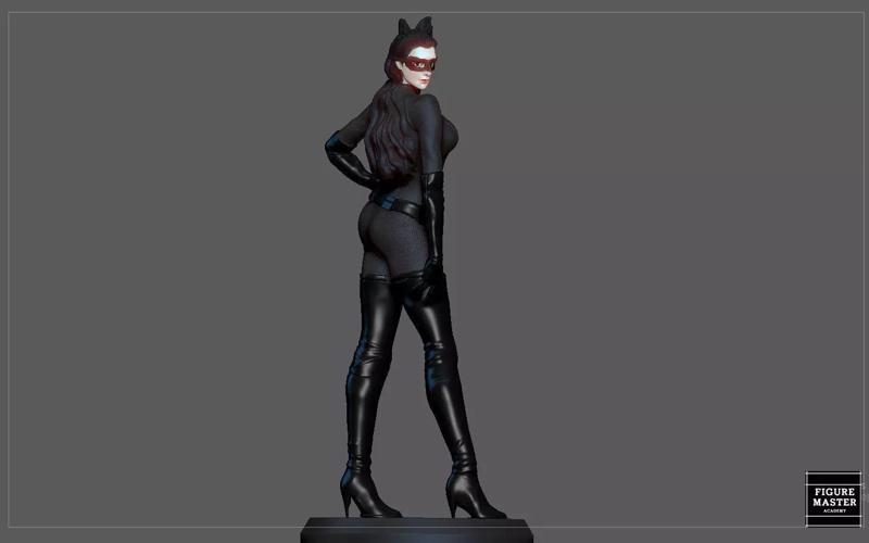 CATWOMAN SELINA KYLE BATMAN DARK NIGHT RISES DC GIRL CHARACTER