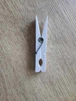 clothes peg