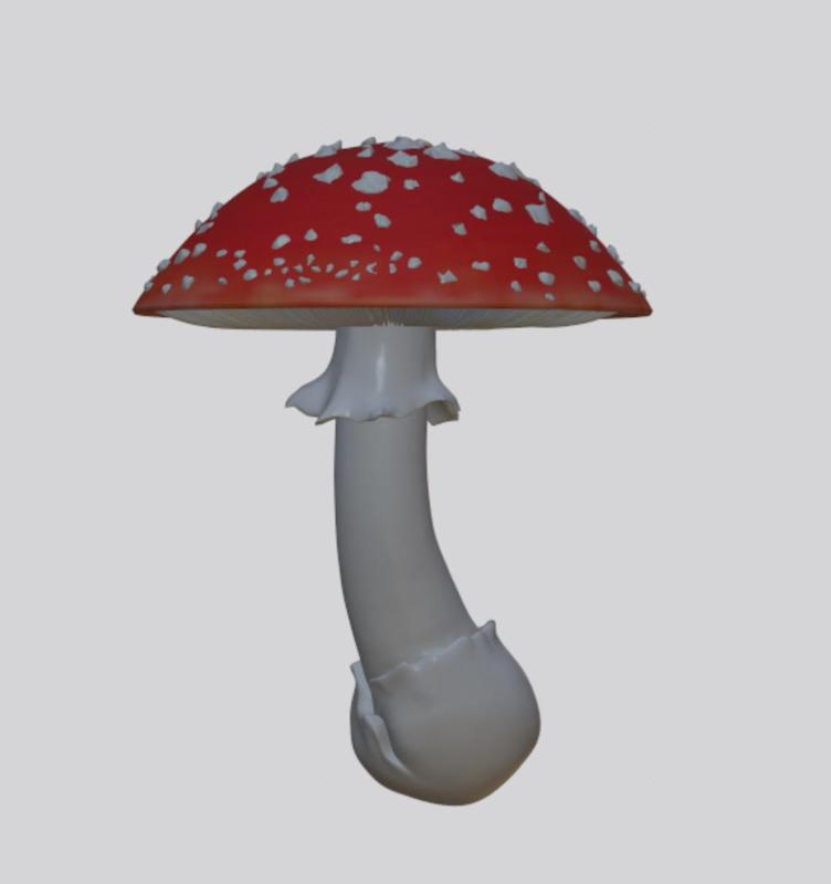 amanita muscaria