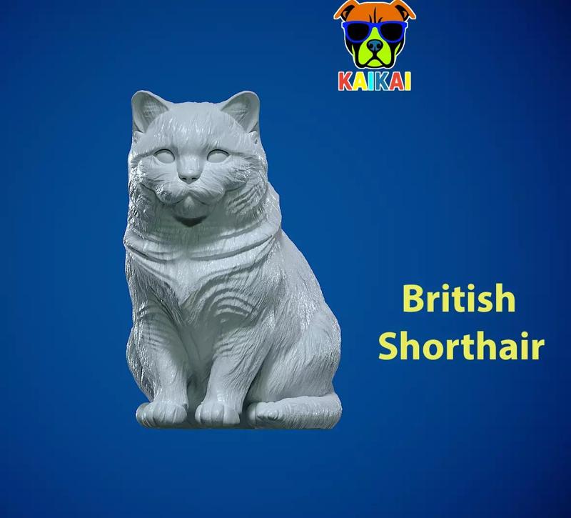 British Shorthair cat - Blue England Cat model -  3D print