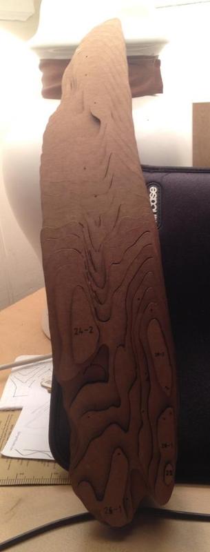 Maryland Driftwood Scan