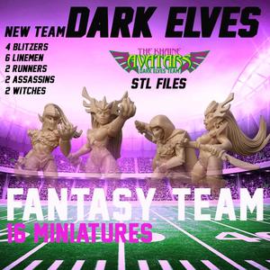 Dark Elves Team for Fantasy Football - 16 Minis