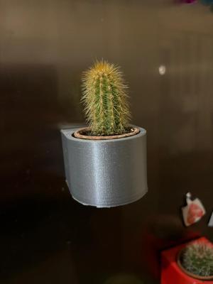 Refrigerator planter for mini cactus