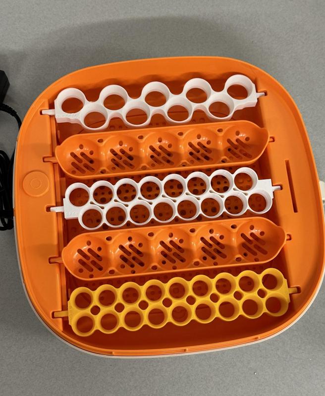 Chickcozy quail egg basket