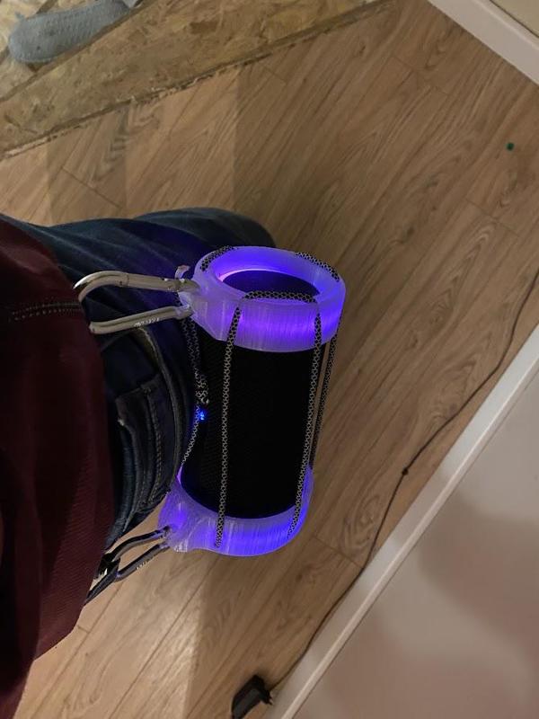 Anker Soundcore Flare II speakers case