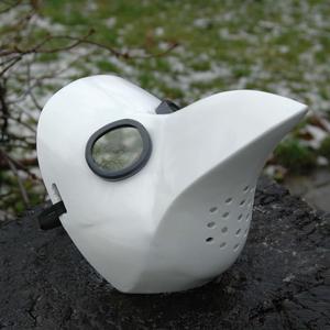 Plague Doctor Mask