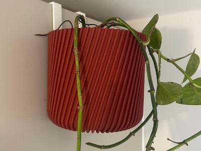 Hanging pot