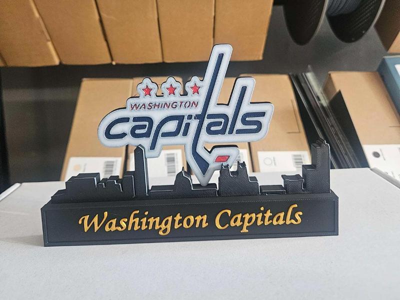 Washington Capitals with skyline  NHL 