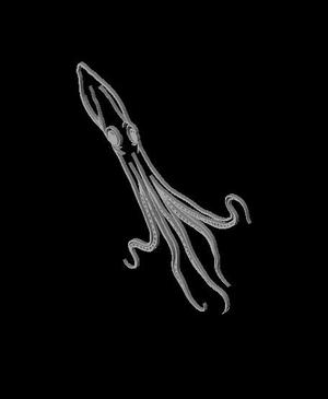 squid.stl