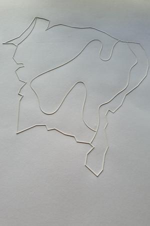 Tactile image: Brazil's Northeast region climate map