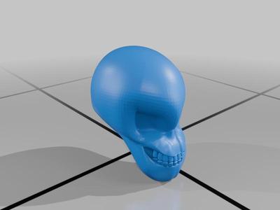 Skull