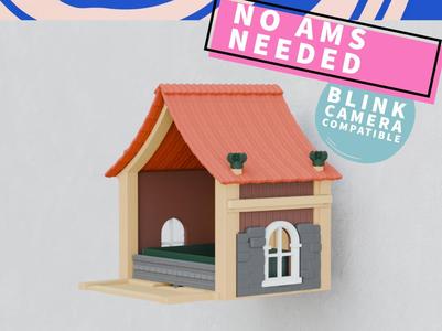 Bird Feeder With Video Camera Option Fun Build kit