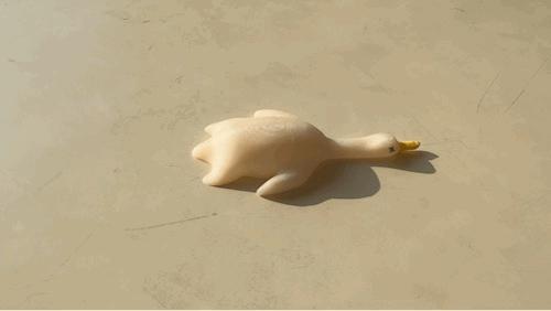 Adorable and delicious goose