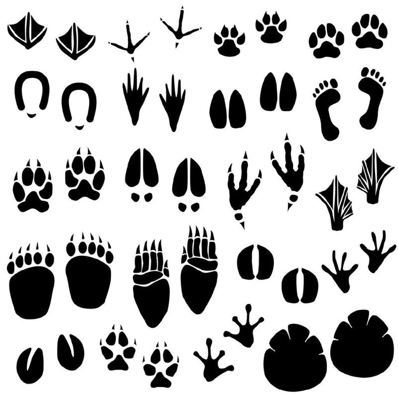 Animal Foot Prints Stencil