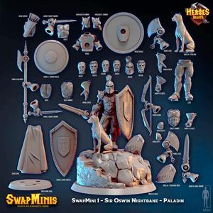Swapmini 1 - Paladin -Sir Oswin Nightbane