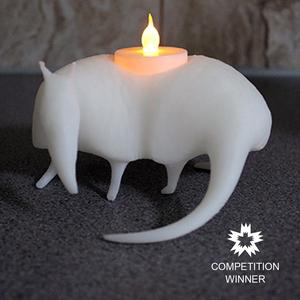 Armadillo Candle