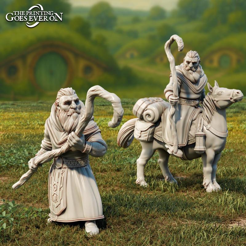 Baldor - Dwarven Elder - Lost Kingdom Expedition