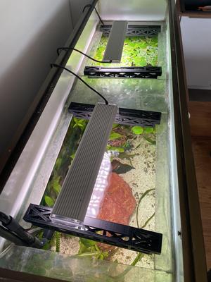 LED Fish Tank support