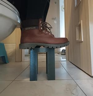 poop stool