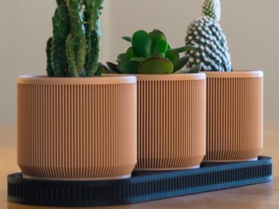 Mid Century Modern Mini Plant Pots with Tray