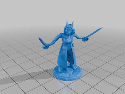 Swords out Swashbuckler