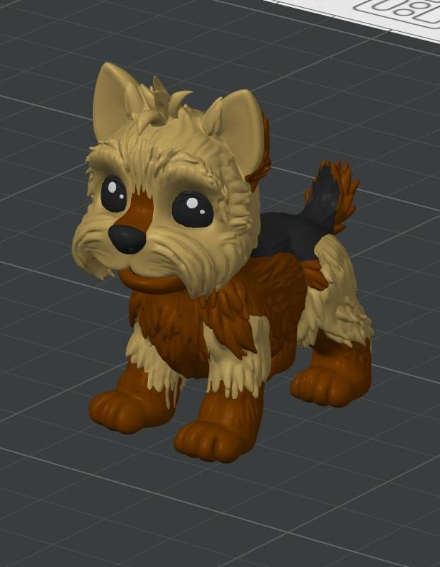 Yorkshire, Yorkie, Dog