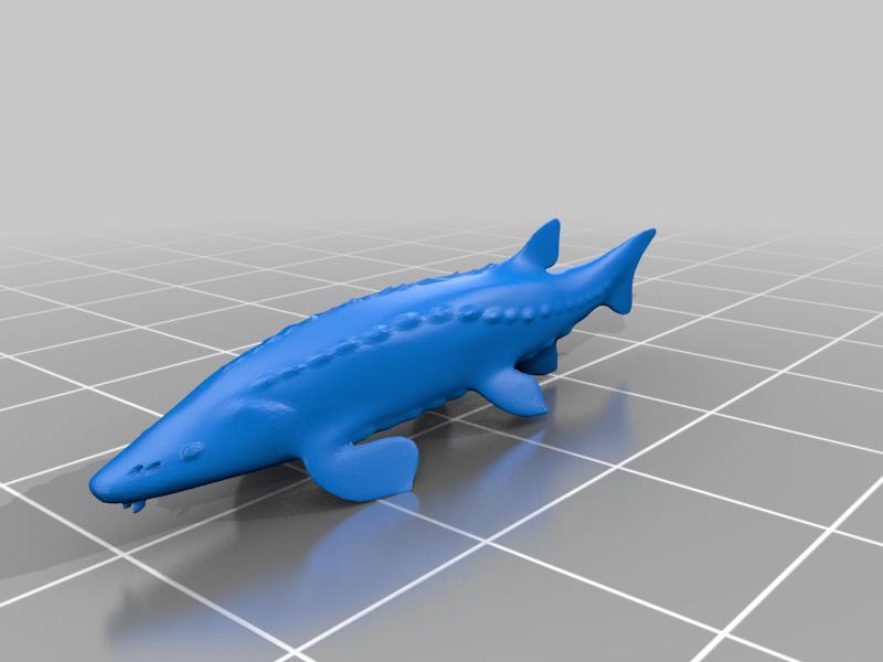 Lake sturgeon