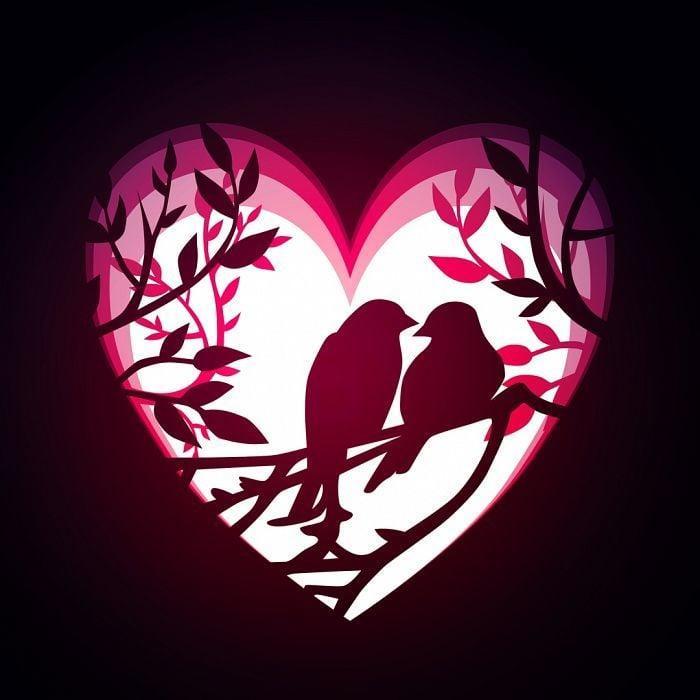 love bird lightbox