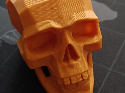 Skull realistic origami