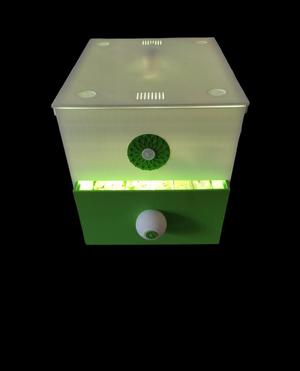 Anzuchtkiste für 42 Pflanzen