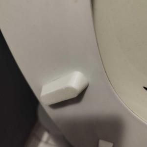 tampon lunette WC