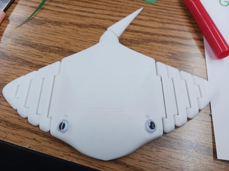 Articulated Stingray