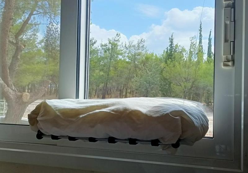 Window Bed for Cats