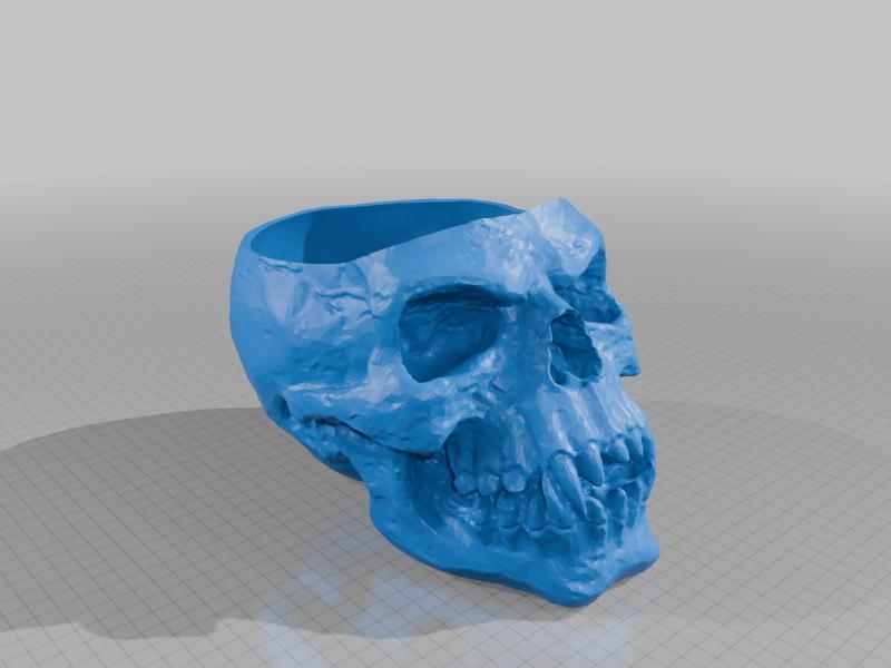 Skull bowl