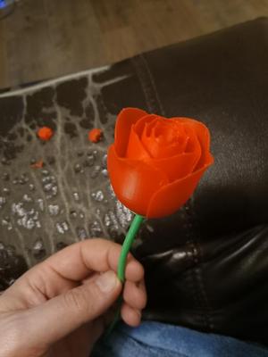 Rose and Stem (Remix)