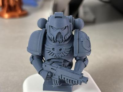 busts: Space Marine