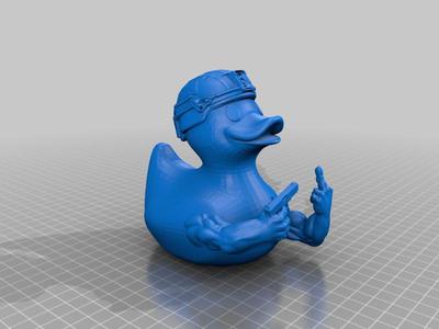 Duck Around and Find Out
