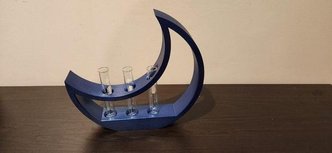 Moon propagation station 