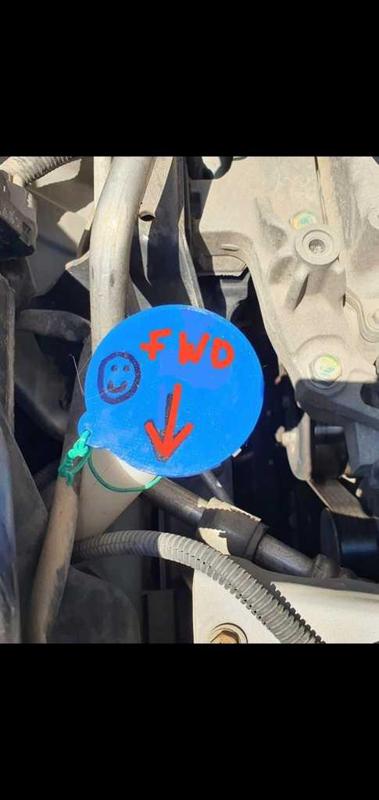 Micra water cup/ cover