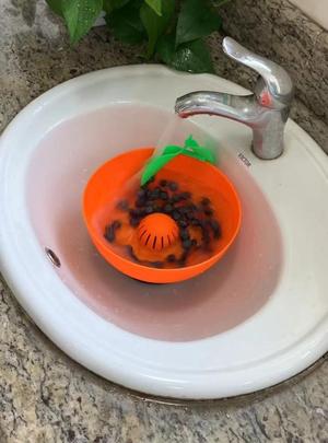 Berry cleaning machine powered by tap water