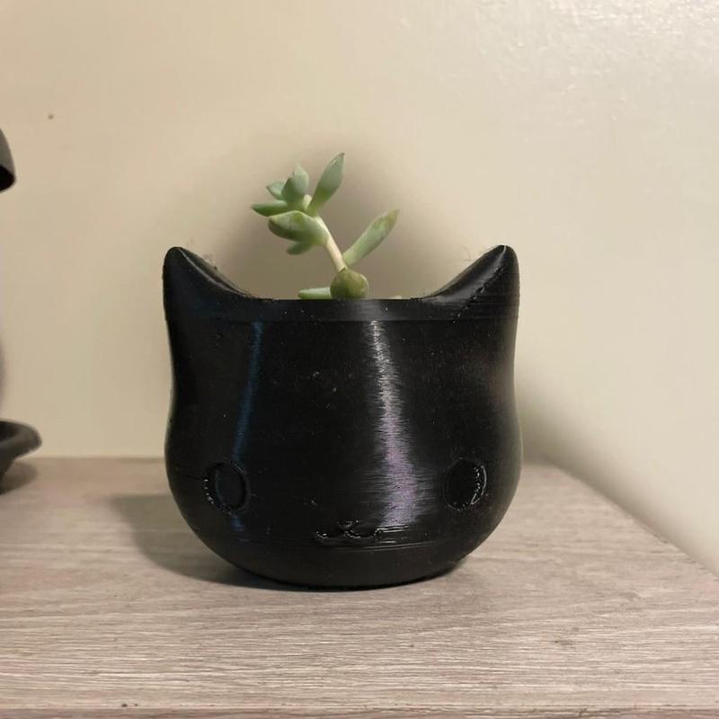 Cat flower pot