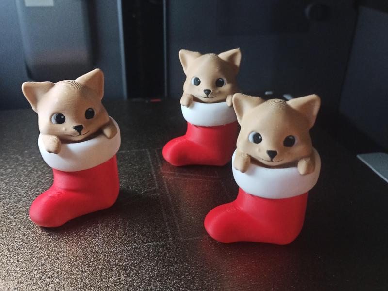 Kitty in a Christmas stocking