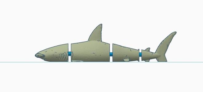 Shark 3D model