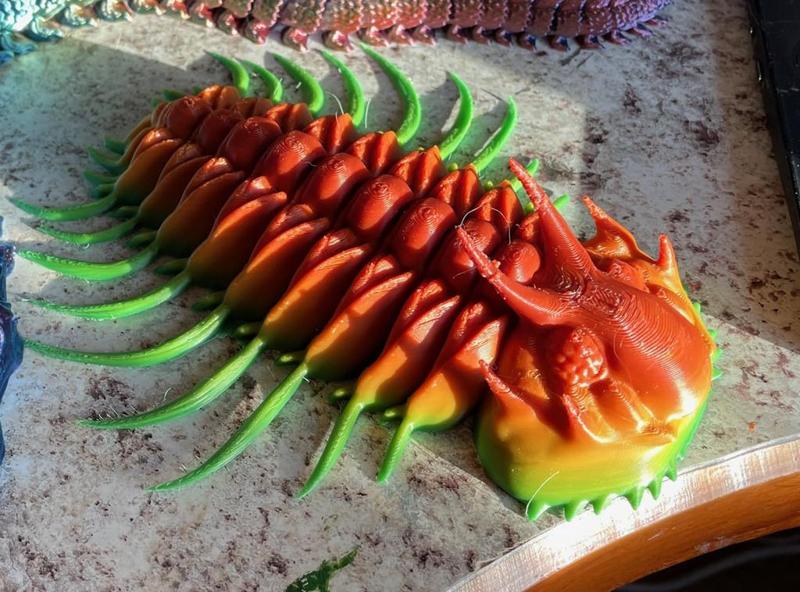 Trilobite - Miraspis mira, articulated