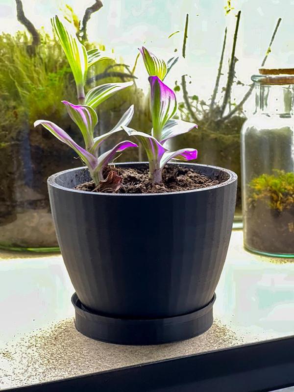 Flower Pot with tray