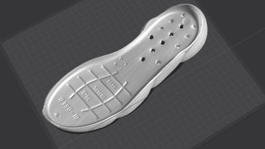 sole  Scanned by Creality Scanner Raptor