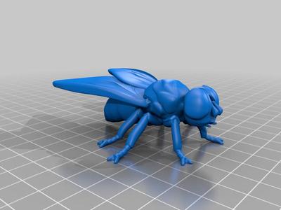 蠅（Fly）3Dデータ